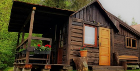 Domek pod lasem